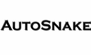 AutoSnake, 